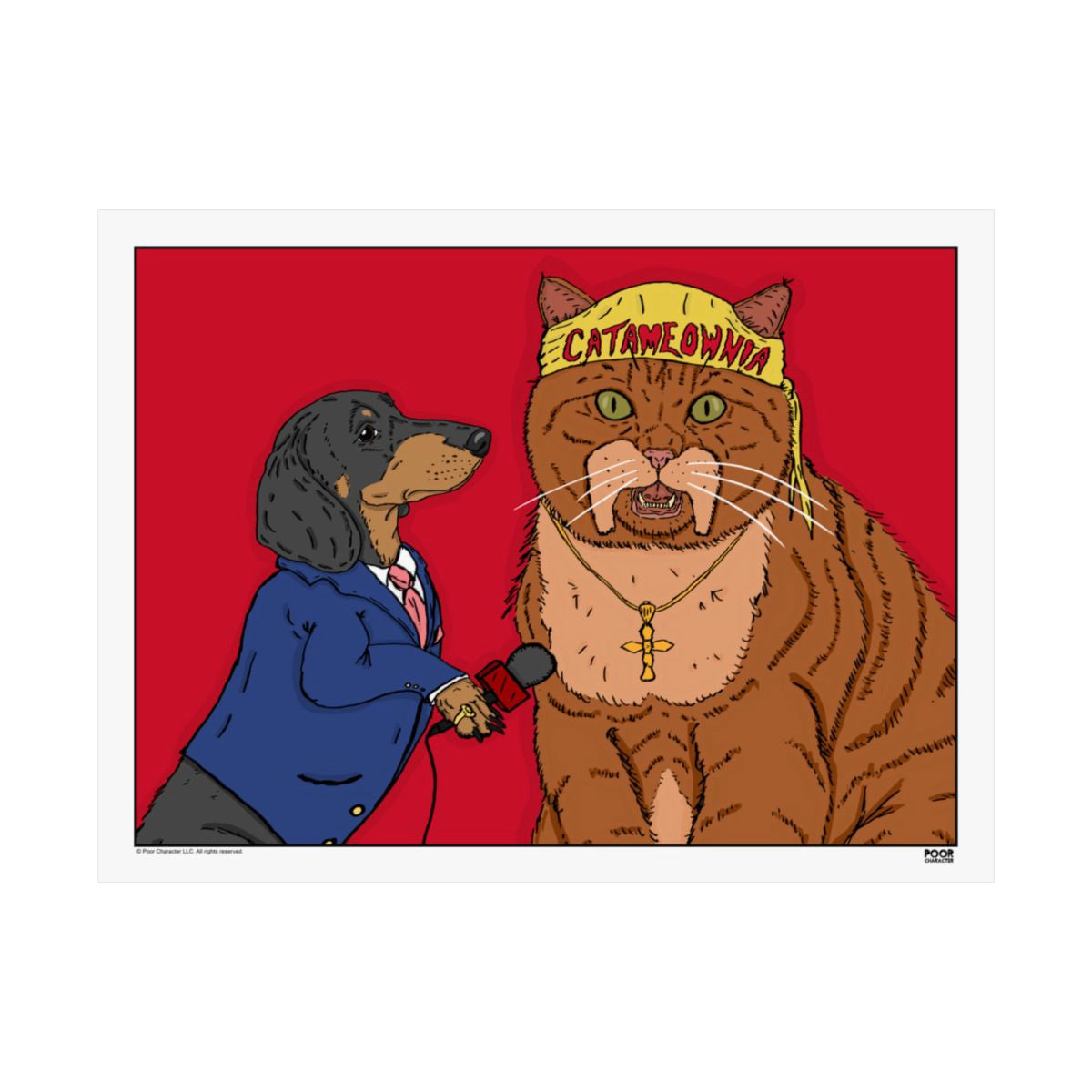 CATAMANIAC INTERVIEW PRINT